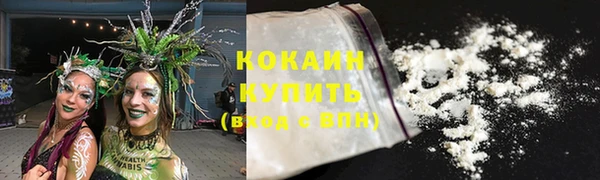 мяу мяу мука Аркадак