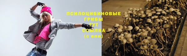 мяу мяу мука Аркадак