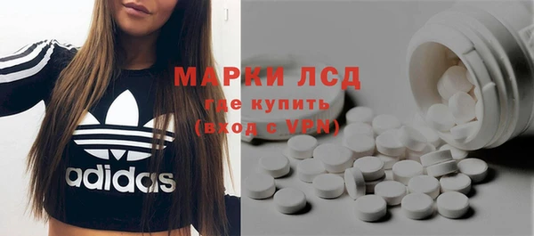 мяу мяу мука Аркадак