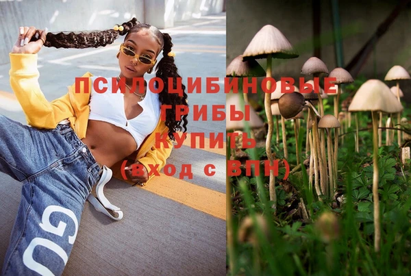 дурь Арсеньев