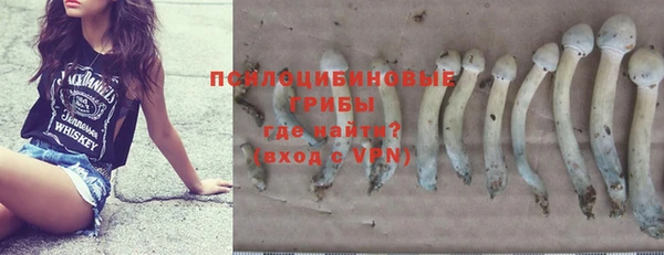 мяу мяу мука Аркадак
