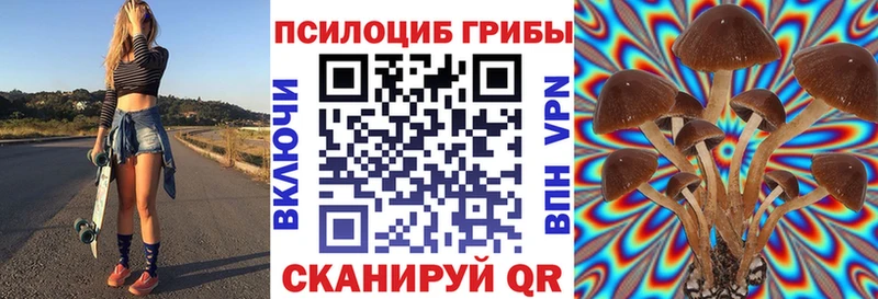 Псилоцибиновые грибы Cubensis Северо-Курильск